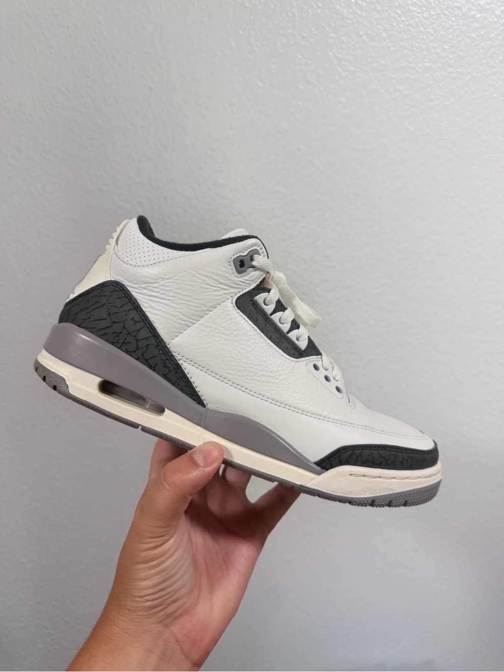 Jordan retro 3
